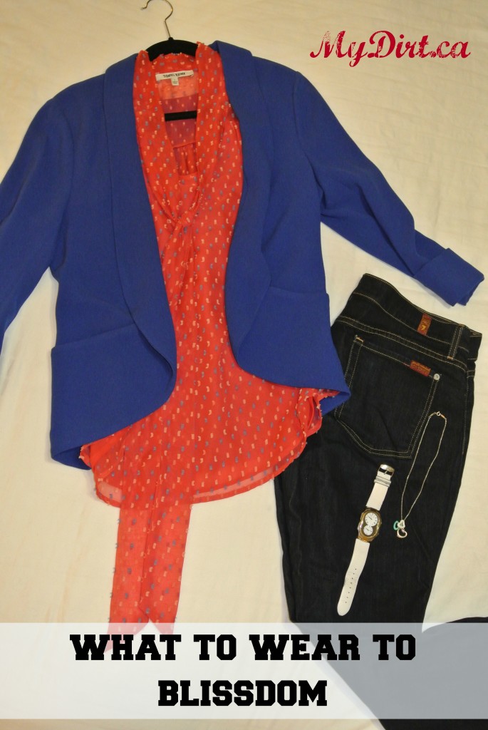 What to wear to Blissdom