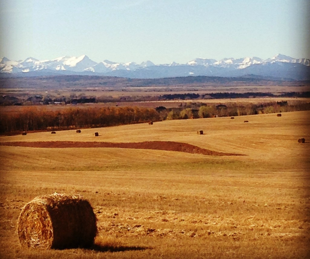 canadian rocky mountains