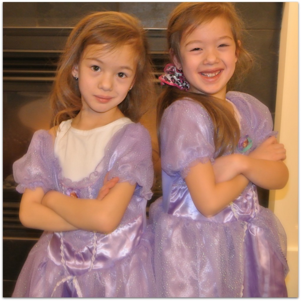 Princess sofia dresses