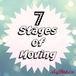 7 Stages of Moving
