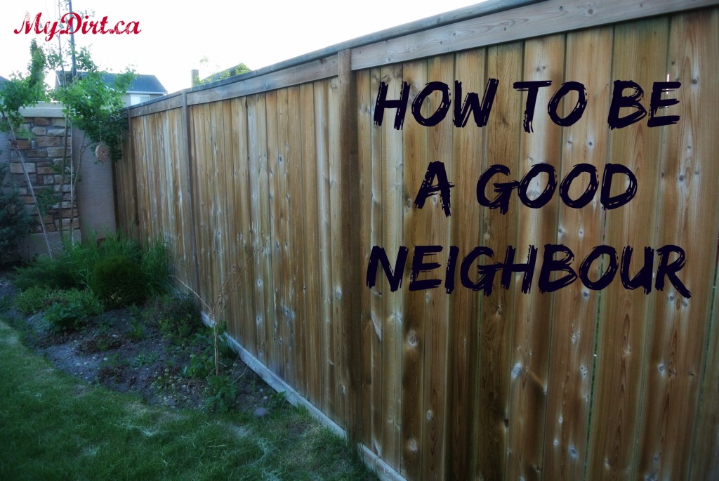 www.mydirt.ca