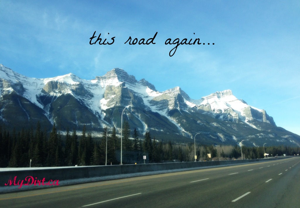 snow capped mountains and road