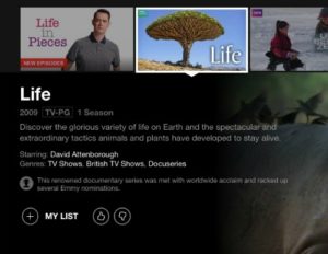 Life on netflix